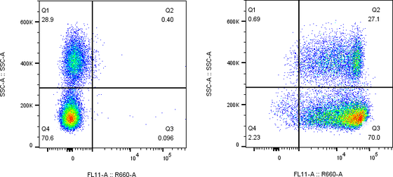 Rabbit-anti CD46 monoclonal antibody