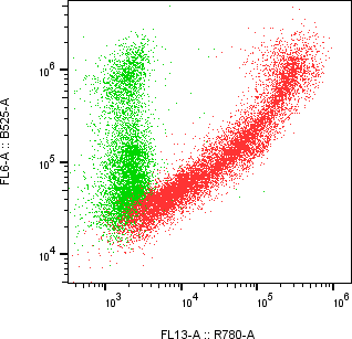 Rabbit-anti PDGFRB monoclonal antibody