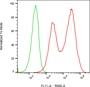 Rabbit-anti GC monoclonal antibody