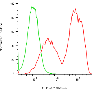 Rabbit-anti CSH2 monoclonal antibody