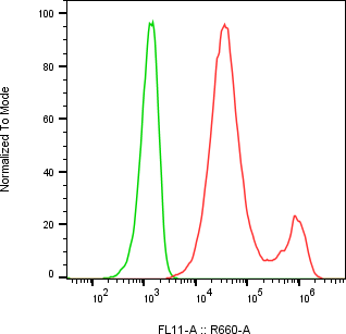 Rabbit-anti SERPING1 monoclonal antibody
