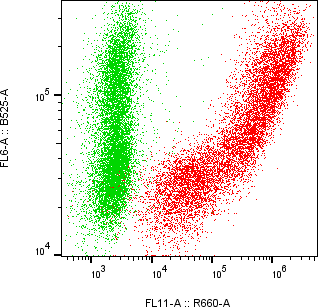 Rabbit-anti CD244 monoclonal antibody