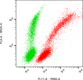 Rabbit-anti AMHR2 monoclonal antibody
