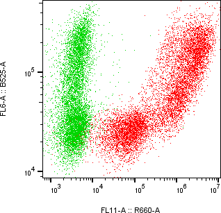 Rabbit-anti AMY2A monoclonal antibody