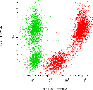 Rabbit-anti CBLN4 monoclonal antibody
