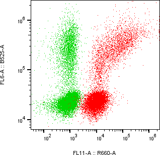 Rabbit-anti SPN monoclonal antibody