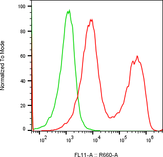 Rabbit-anti APOA4 monoclonal antibody
