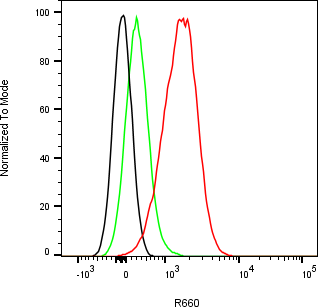 Rabbit-anti C6 monoclonal antibody