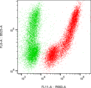 Rabbit-anti AMY2A monoclonal antibody