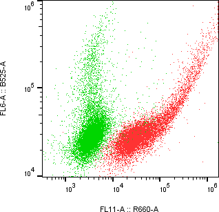 Rabbit-anti LRP10 monoclonal antibody