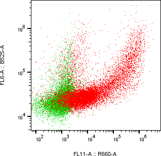 Rabbit-anti CEACAM7 monoclonal antibody
