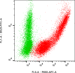 Rabbit-anti CPVL monoclonal antibody