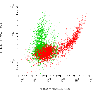 Rabbit-anti CALCA monoclonal antibody