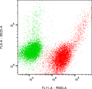 Rabbit-anti TIMD4 monoclonal antibody