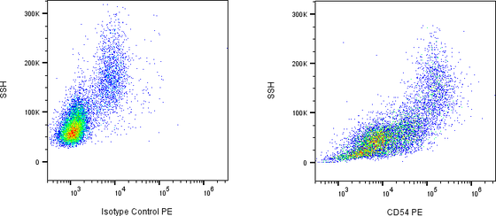 Rabbit-anti ICAM1 monoclonal antibody