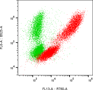 Rabbit-anti AFP monoclonal antibody