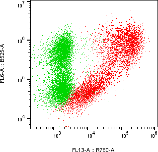 Rabbit-anti KIR2DL2 monoclonal antibody