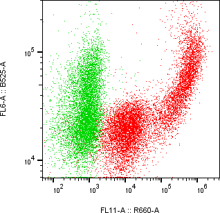 Rabbit-anti LCN1 monoclonal antibody