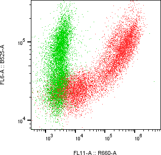 Rabbit-anti COL15A1 monoclonal antibody