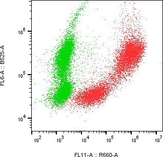 Rabbit-anti FOLR1 monoclonal antibody