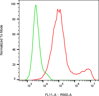 Rabbit-anti CD69 monoclonal antibody