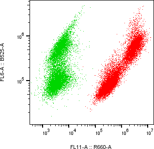 Rabbit-anti CCL2 monoclonal antibody
