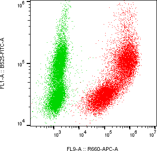 Rabbit-anti PSG1 monoclonal antibody