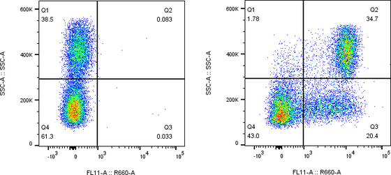 Rabbit-anti PD-1 monoclonal antibody