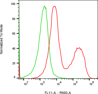 Rabbit-anti GIF monoclonal antibody
