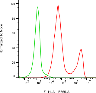Rabbit-anti CD86 monoclonal antibody