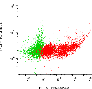 Rabbit-anti NCR2 monoclonal antibody