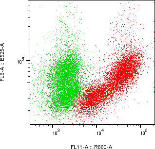 Rabbit-anti CFD monoclonal antibody