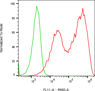 Rabbit-anti DEFA1 monoclonal antibody