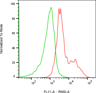 Rabbit-anti CD300LB monoclonal antibody