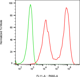 Rabbit-anti SPINK7 monoclonal antibody