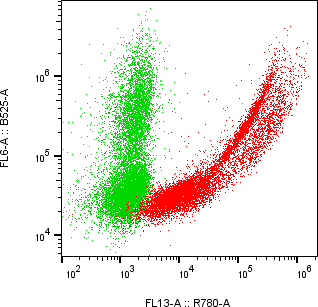 Rabbit-anti VCAM1 monoclonal antibody