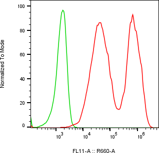Rabbit-anti AZGP1 monoclonal antibody