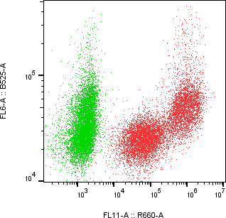 Rabbit-anti MMP3 monoclonal antibody