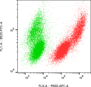 Rabbit-anti RNASE3 monoclonal antibody