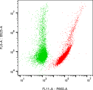 Rabbit-anti IGFBP5 monoclonal antibody