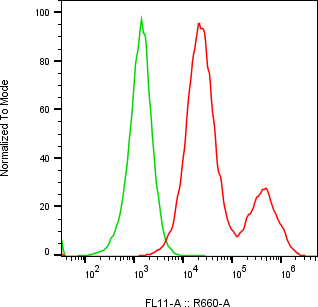 Rabbit-anti CEACAM6 monoclonal antibody