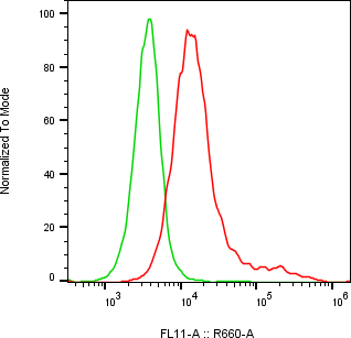 Rabbit-anti LRP10 monoclonal antibody