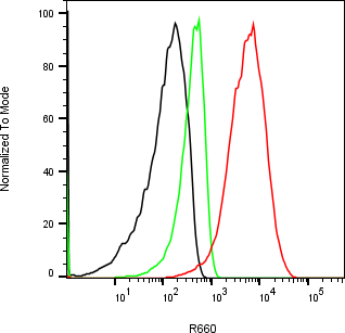 Rabbit-anti OSM monoclonal antibody