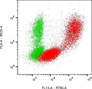 Rabbit-anti MMP9 monoclonal antibody
