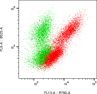 Rabbit-anti CCL7 monoclonal antibody