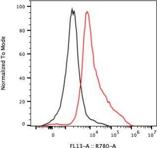 Rabbit-anti EPOR monoclonal antibody