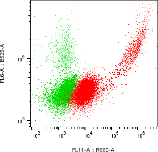 Rabbit-anti SERPINF2 monoclonal antibody