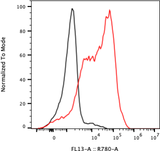 Rabbit-anti TNFRSF18 monoclonal antibody