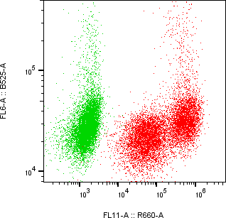 Rabbit-anti AZGP1 monoclonal antibody