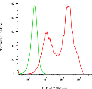 Rabbit-anti COL15A1 monoclonal antibody